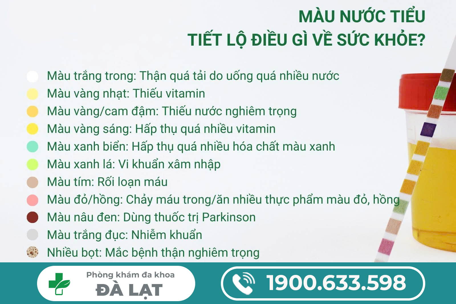 Hình ảnh minh họa